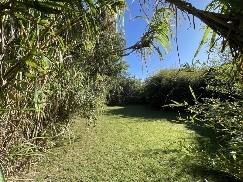 La Mandragora Punta Piedras - foto 25