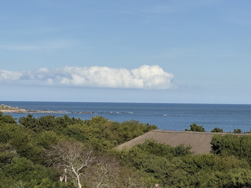 Septiembre - foto 2