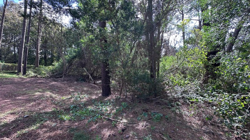 Lote 208 La Reserva de Montoya