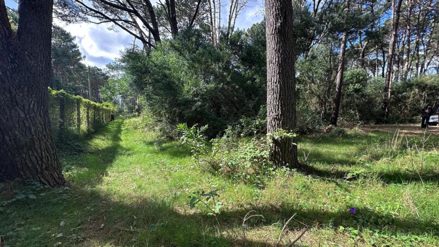 Lote en venta en La Reserva de Montoya