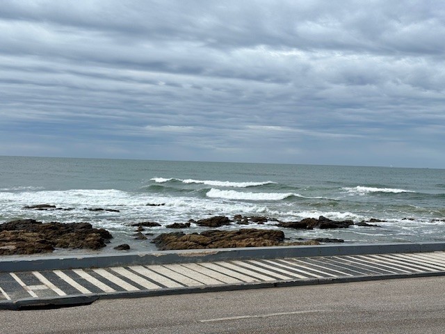 Mabel Peninsula - foto 25