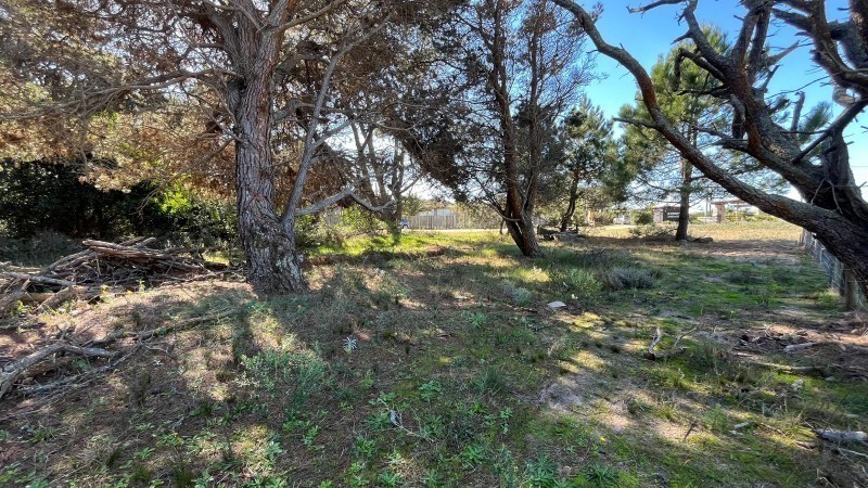 Lotes San vicente pad 11331 / 11332 - foto 11