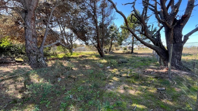 Lotes San vicente pad 11331 / 11332 - foto 12