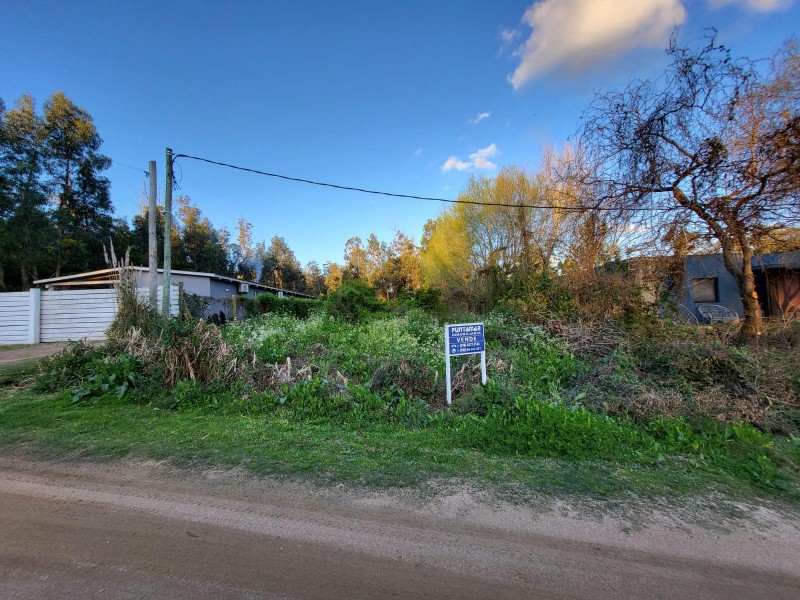 Lote pad 17713 - foto 4