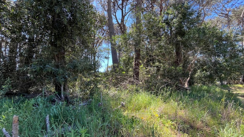 Lote 281 La Reserva de Montoya