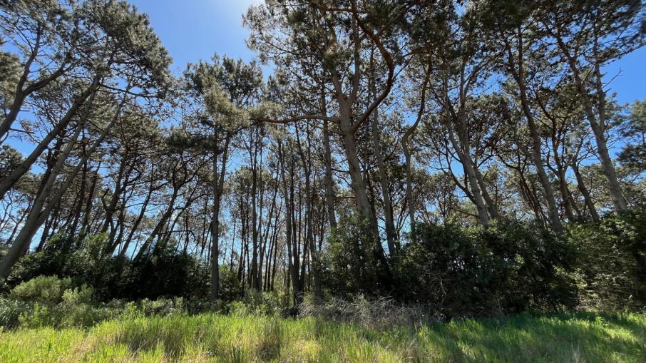 Lote en venta en La Reserva de Montoya