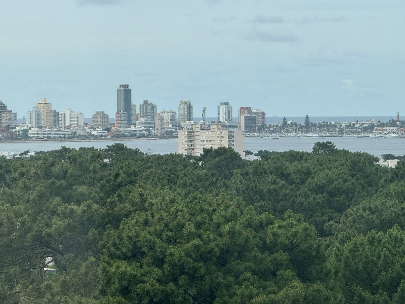 Ocean Drive 1003 - foto 11