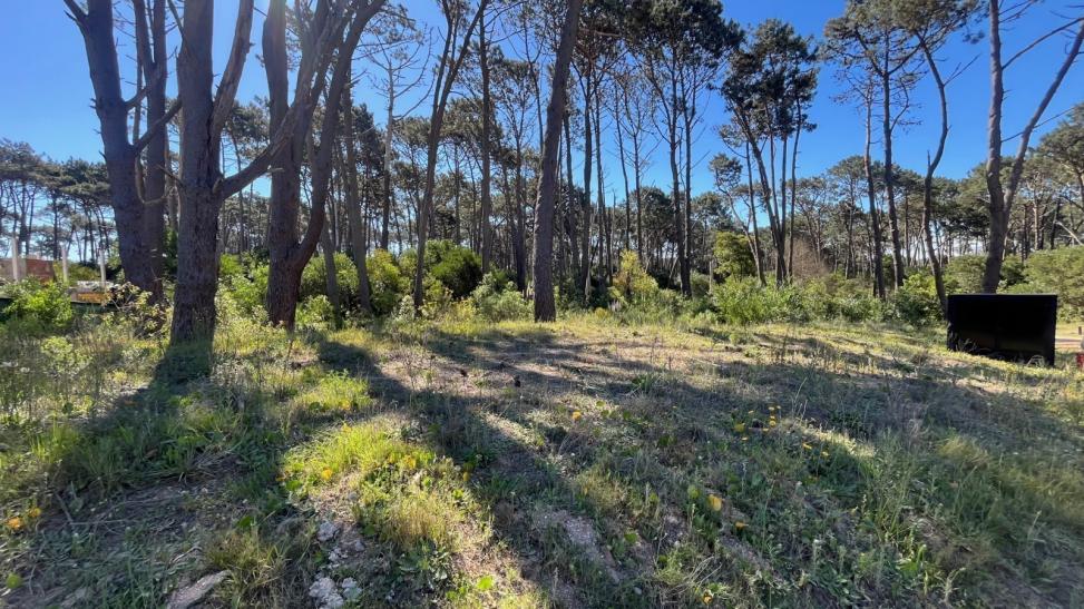 Lote en venta en La Reserva de Montoya