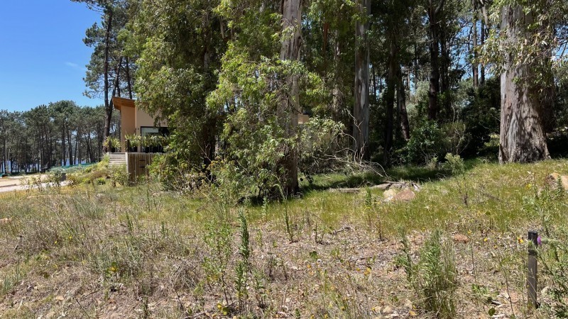 Lote 303 La Reserva de Montoya - foto 5