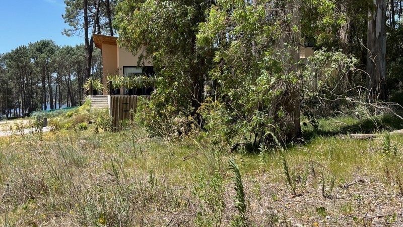 Lote 303 La Reserva de Montoya - foto 3