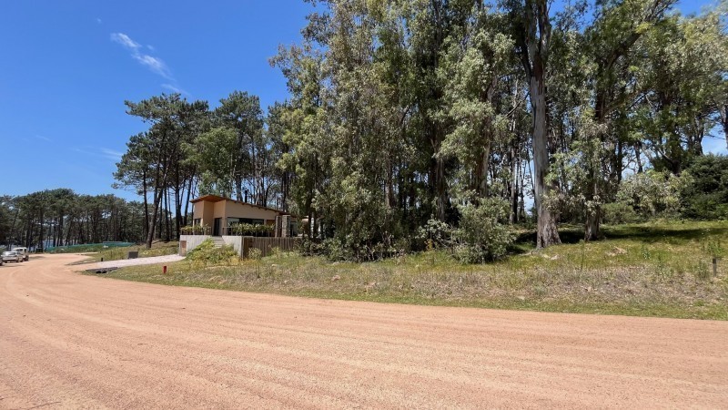 Lote 303 La Reserva de Montoya - foto 6