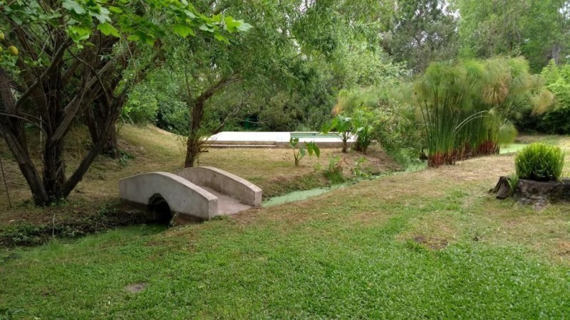 La Blanquita - foto 4