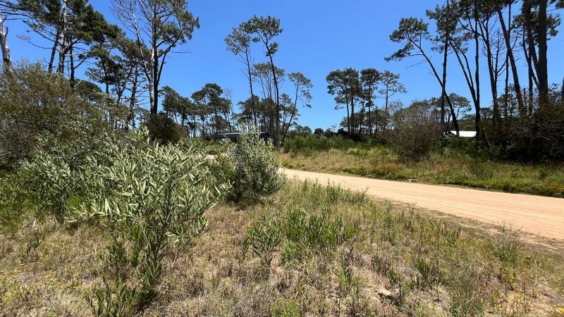 La reserva de montoya lote 34 - foto 6