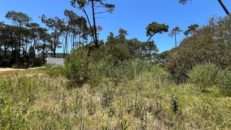 La reserva de montoya lote 34 - foto 8