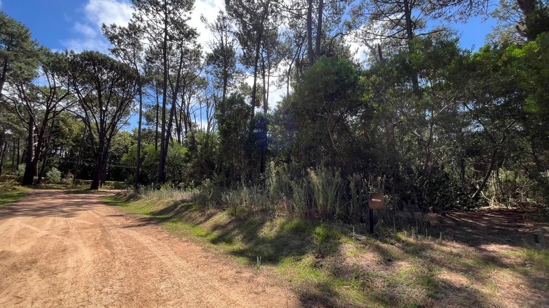 Lote 206 La Reserva de Montoya