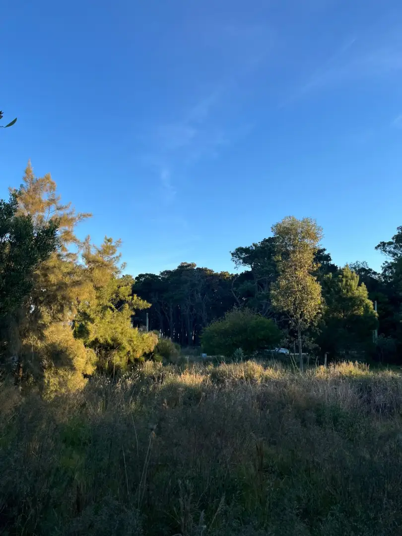 Lote en venta a pasos del mar en San Vicente