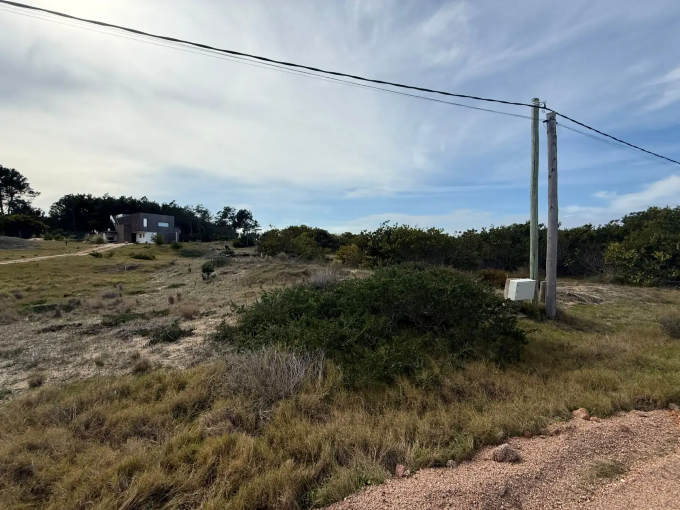 Terreno