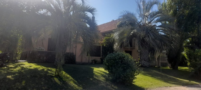Los Penachos - foto 30