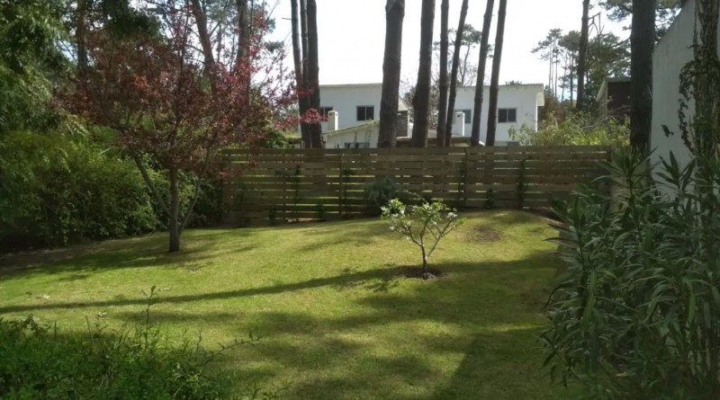 Sonsoles - foto 22