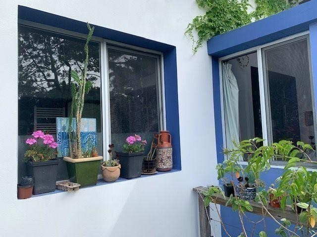 Papiros - foto 23