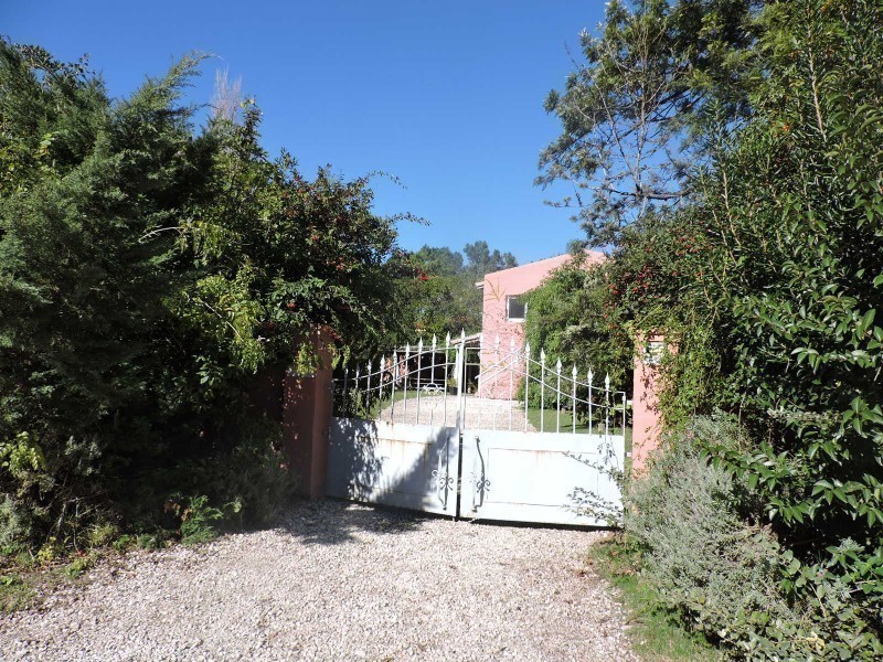 La Provence - foto 5